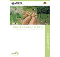 Bolivia: Monitoreo de cultivos de coca 2019